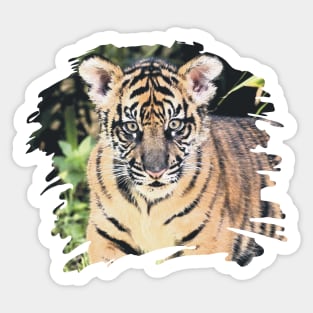 Paint Stroke Tiger Cub Sticker